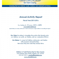 Children and Youth Partnership, Annual Activity Report