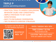 Children and Youth Partnership, Triple P Discussion Group: Dealing with Disobedience